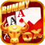 yono rummy vip game